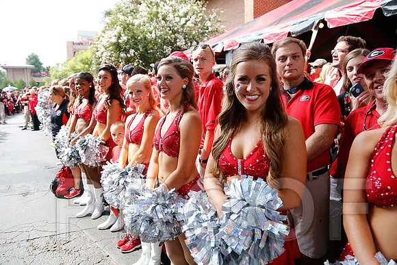 Georgia vs Clemson 2014