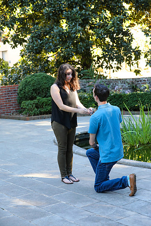 Stephen's Proposal to Morgan 2016