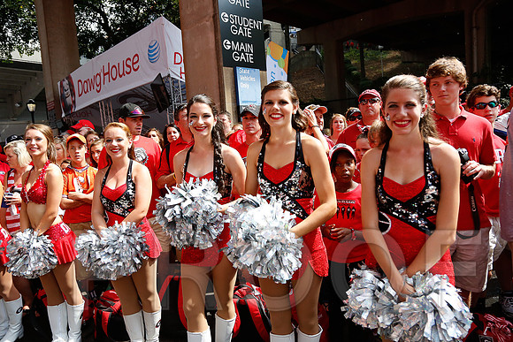 Georgia vs Clemson 2014