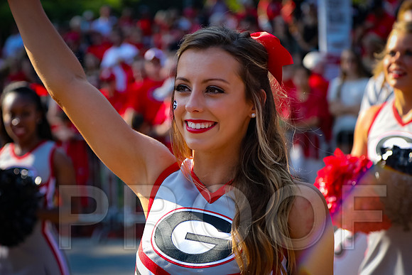 Georgia vs Nicholls 2016 Football