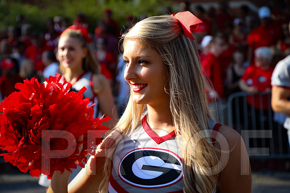 Georgia vs Nicholls 2016 Football