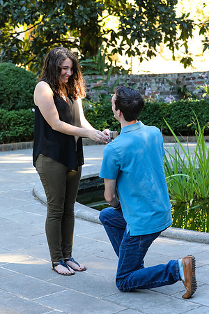 Stephen's Proposal to Morgan 2016