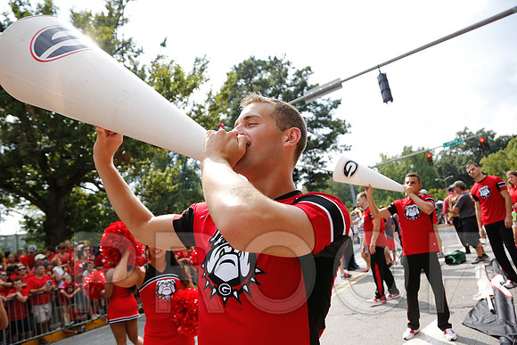 Georgia vs Clemson 2014