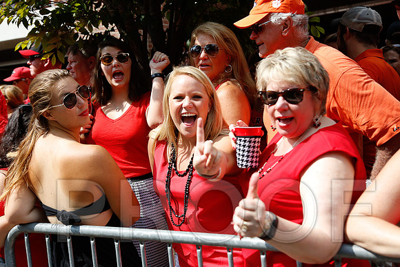 Georgia vs Clemson 2014