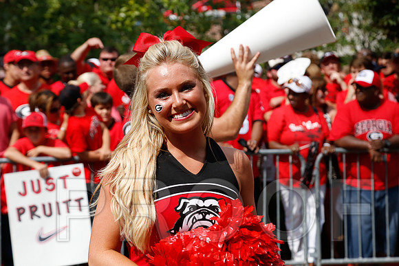 Georgia vs Clemson 2014