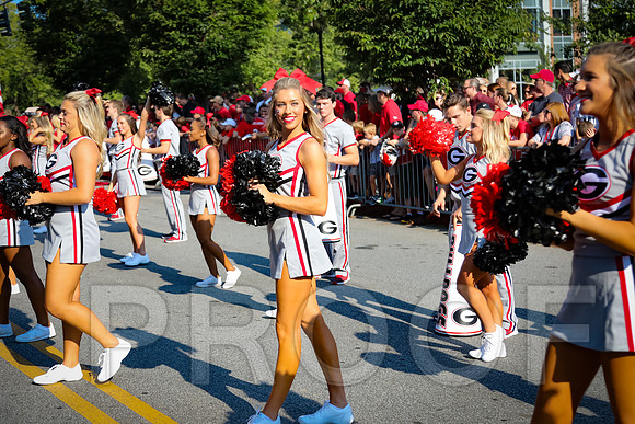 Georgia vs Nicholls 2016 Football