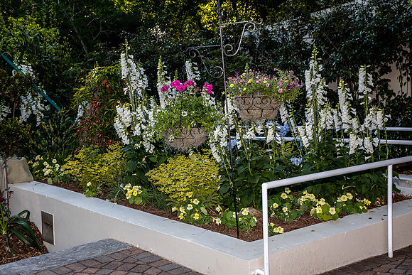 Garden of the World Ball 2015 by Blane Marable Photography
