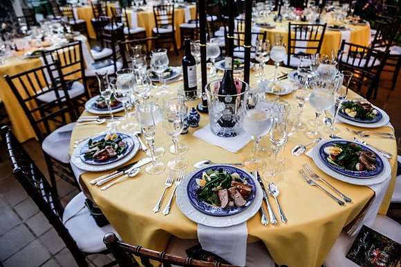 Garden of the World Ball 2015 by Blane Marable Photography