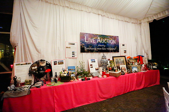 Garden of the World Ball 2015 by Blane Marable Photography