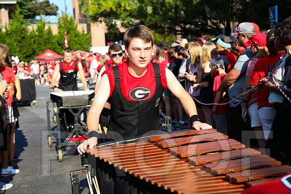 Georgia vs Nicholls 2016 Football