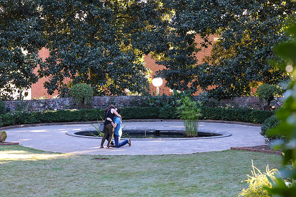 Stephen's Proposal to Morgan 2016