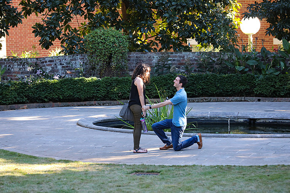Stephen's Proposal to Morgan 2016