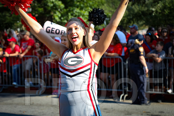 Georgia vs Nicholls 2016 Football