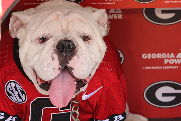 Georgia vs ULM by Blane Marable Photography
