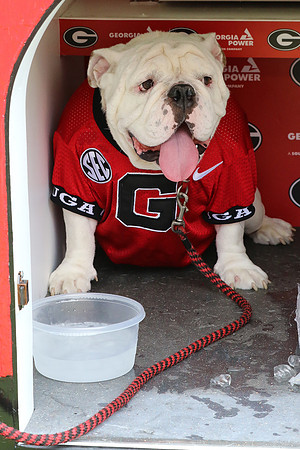 Georgia vs ULM by Blane Marable Photography