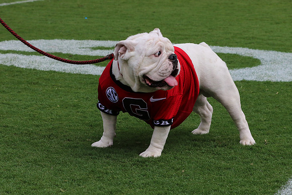 Georgia vs ULM by Blane Marable Photography