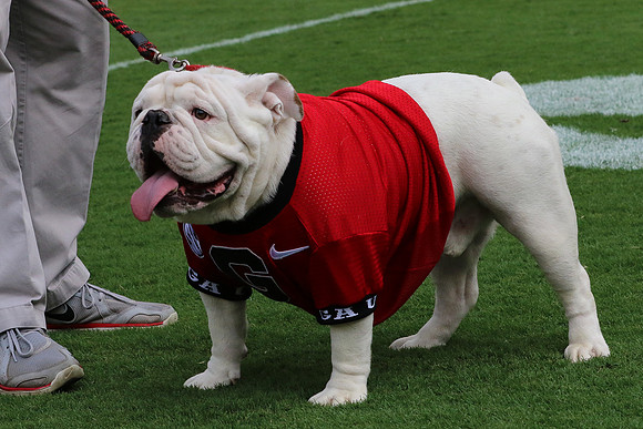 Georgia vs ULM by Blane Marable Photography