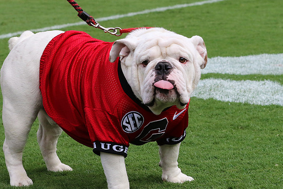 Georgia vs ULM by Blane Marable Photography