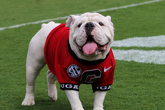 Georgia vs ULM by Blane Marable Photography
