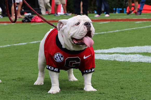 Georgia vs ULM by Blane Marable Photography