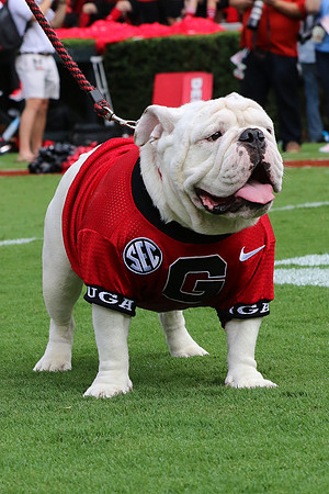 Georgia vs ULM by Blane Marable Photography