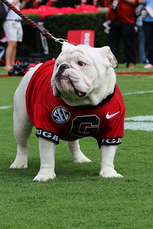 Georgia vs ULM by Blane Marable Photography