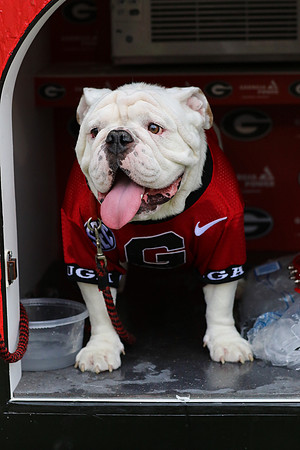Georgia vs ULM by Blane Marable Photography