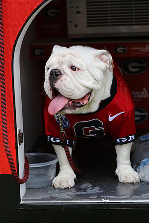 Georgia vs ULM by Blane Marable Photography
