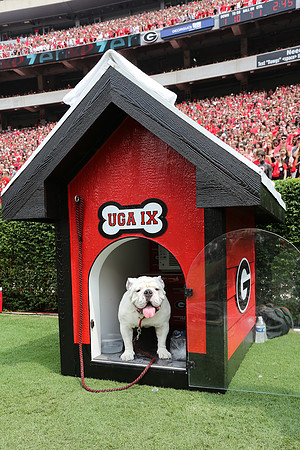 Georgia vs ULM by Blane Marable Photography