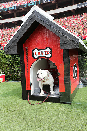 Georgia vs ULM by Blane Marable Photography