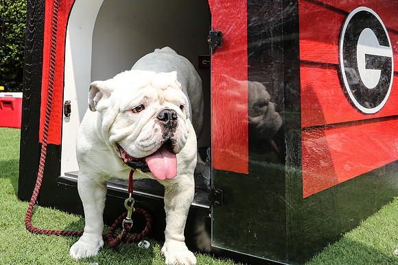 Georgia vs ULM by Blane Marable Photography
