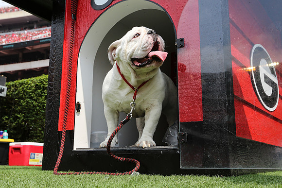 Georgia vs ULM by Blane Marable Photography