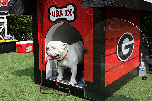Georgia vs ULM by Blane Marable Photography