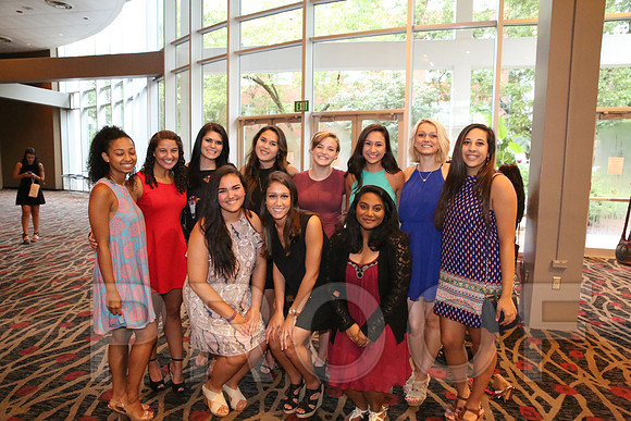 DphiE Bid Night 2015