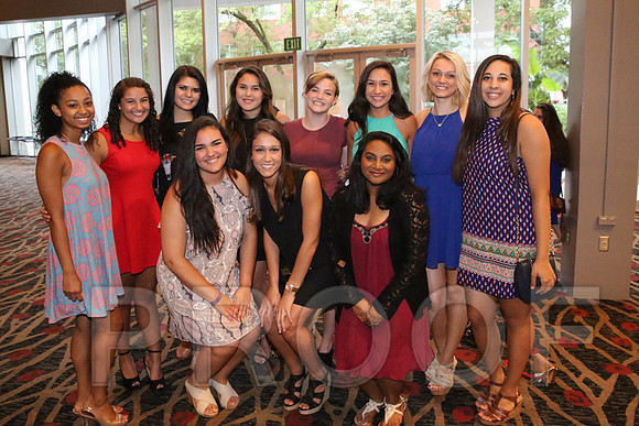DphiE Bid Night 2015