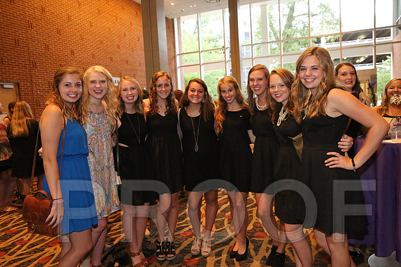 DphiE Bid Night 2015