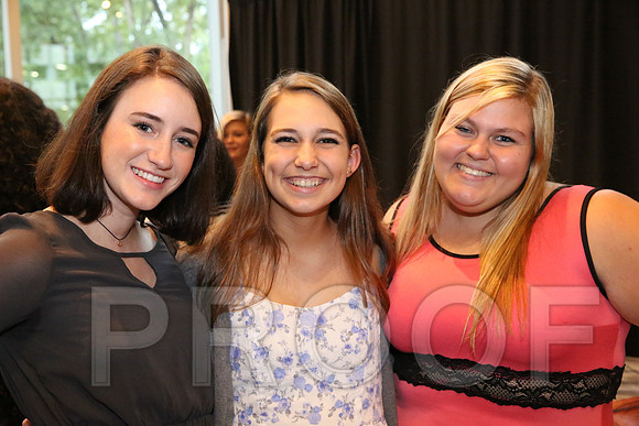 DphiE Bid Night 2015