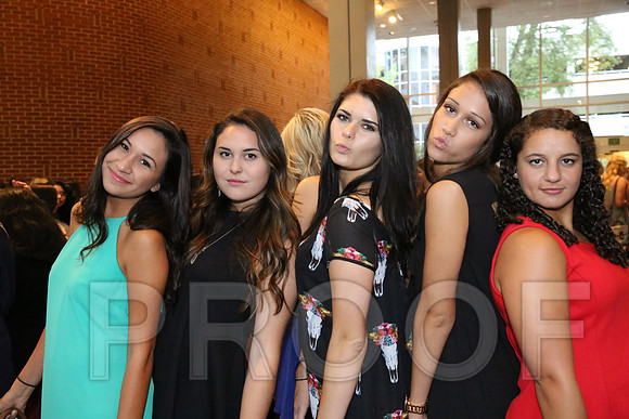 DphiE Bid Night 2015