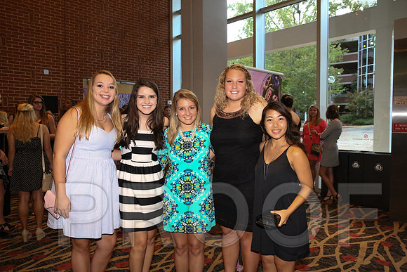 DphiE Bid Night 2015