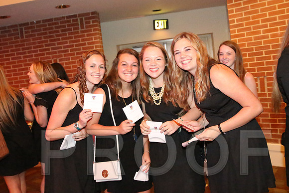 DphiE Bid Night 2015