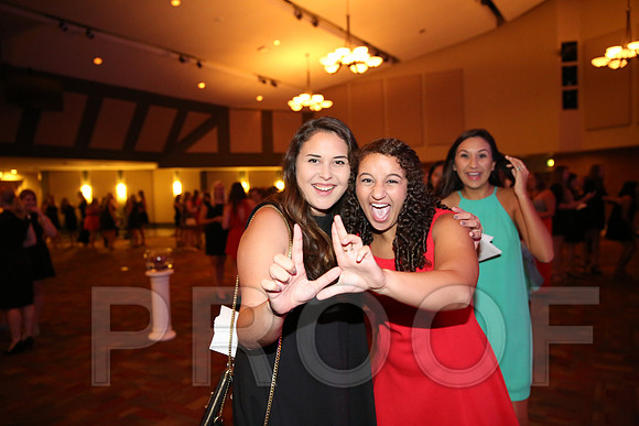 DphiE Bid Night 2015