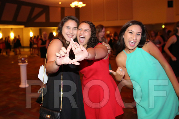 DphiE Bid Night 2015