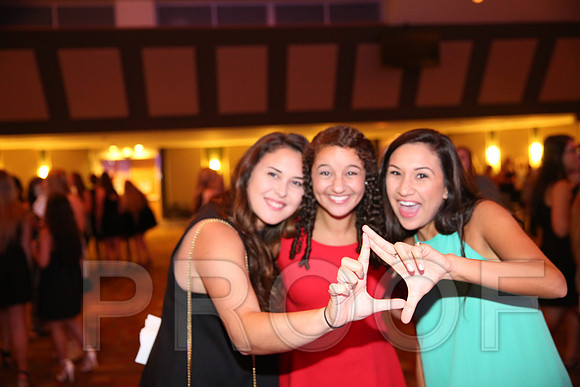 DphiE Bid Night 2015
