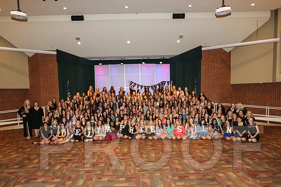DphiE Bid Night 2015
