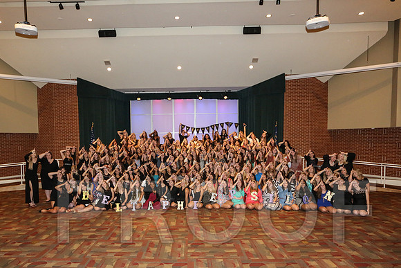 DphiE Bid Night 2015