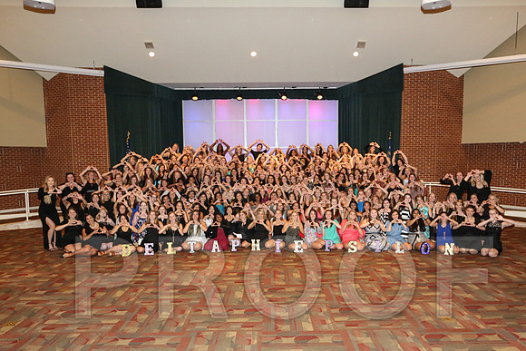 DphiE Bid Night 2015