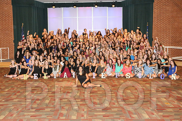 DphiE Bid Night 2015