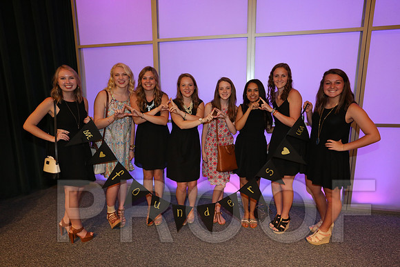 DphiE Bid Night 2015