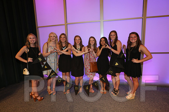 DphiE Bid Night 2015