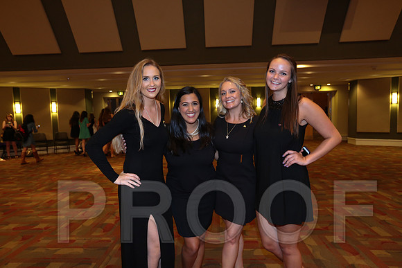 DphiE Bid Night 2015